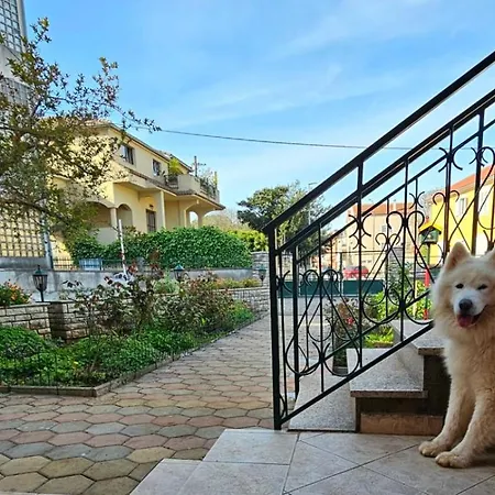 Apartament Velvet *